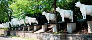 Famous Stops - Discover The North Shore MKE