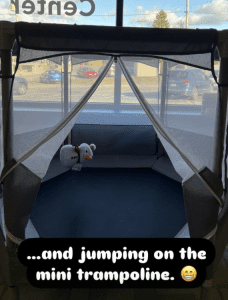 Snowman on trampoline